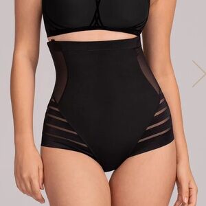 Honeylove Queen Brief, Size 1X